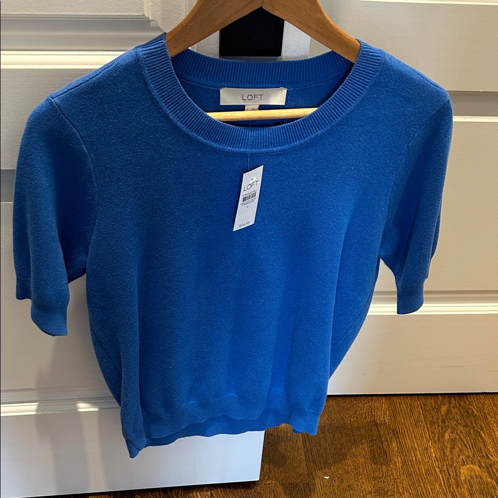 LOFT Womens Vibrant Blue Sweater (cotton/ viscose)